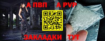 мет Кингисепп