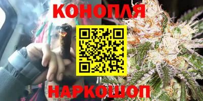 мет Кингисепп