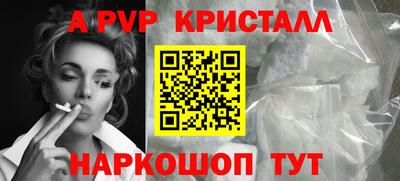 мет Кингисепп