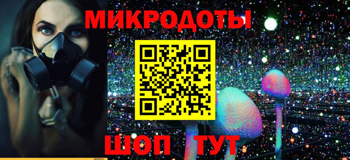 Комсомольск-на-Амуре  Псилоцибиновые грибы прущие грибы  Вход с VPN 