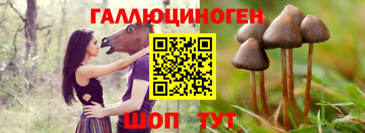 Галлюциногенные грибы MAGIC MUSHROOMS Комсомольск-на-Амуре